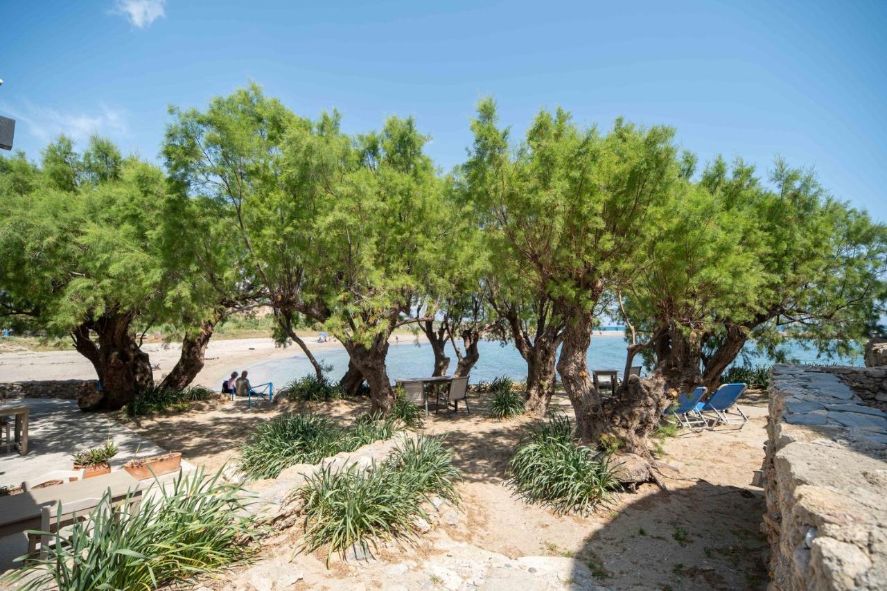 Mylos Seaside Experience Frangocastelo ภายนอก รูปภาพ
